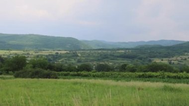 Doğu Sırbistan Kırsal Yeşil Alanlar Bahar Gününde Panoramik Arazi
