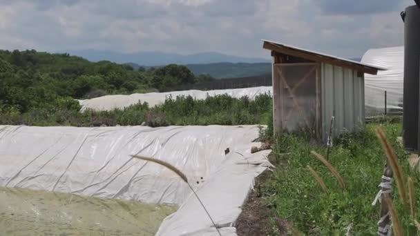 Полиэтиленовая Подкладка Открытое Резервуарное Водохранилище Сельское Хозяйство Орошение — стоковое видео