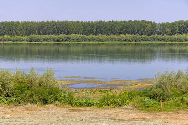 River Sava Green Nature Landscape Sabac — Stockfoto