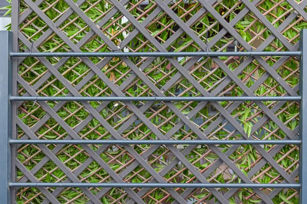 Three Layers Fence Barrier Metal Wood Plants — Stock Photo, Image