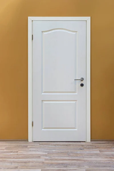 Closed Classic Style White Door Home Interior — Zdjęcie stockowe