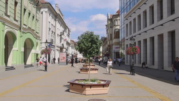 Subotica Serbia August 2022 People Walking Promenade Korzo Street Hot — ストック動画