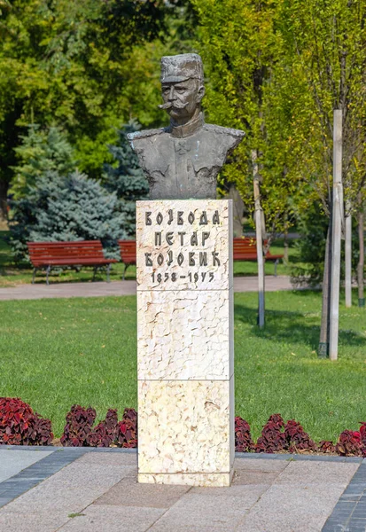Nis Serbia August 2022 Bronze Bust Duke Petar Bojovic Historic — Stockfoto