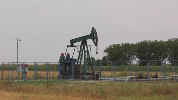 Pumping Oil Well Pump Jack Field Pumpjack — Stok video