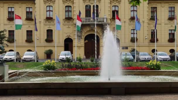 Neo Baroque Szeged City Hall Historic Building Landmark Park Water — Vídeo de Stock