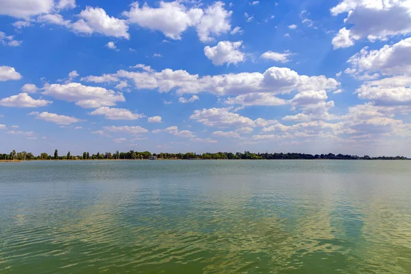 Calm Water Palic Lake Nature Park Hot Summer Day — Stok fotoğraf