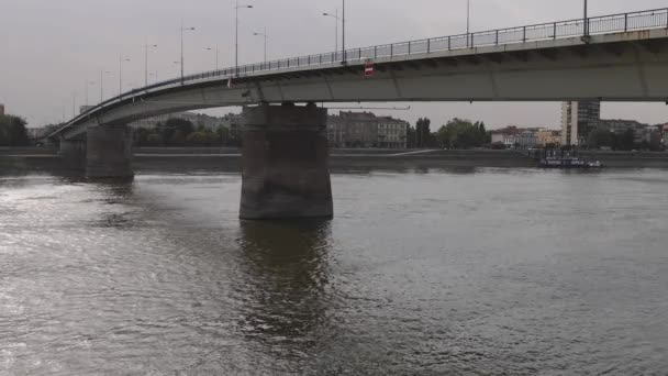 Varadin Bridge Danube River Novi Sad Serbia Summer — Video