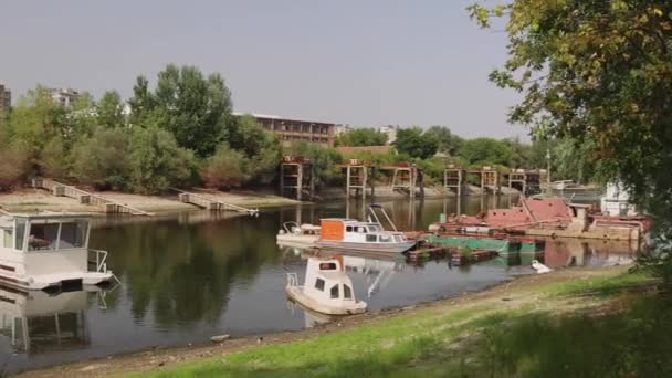Old Shipyard Danube River Novi Sad Serbia Summer — Stock Video