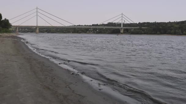 Liberty Bridge River Danube Novi Sad Serbia Summer Day — Video