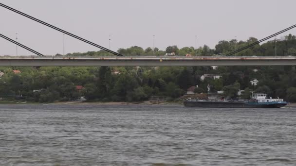 Self Propelled Barge Ship Passing Bridge Danube River — Vídeos de Stock