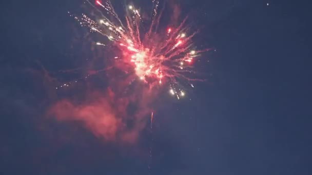 Small Fireworks Party Rockets Blue Sky Evening Celebration — Vídeo de Stock