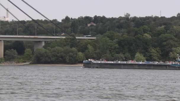 Novi Sad Serbia August 2022 Self Propelled Barge Ship Amici — Vídeo de Stock