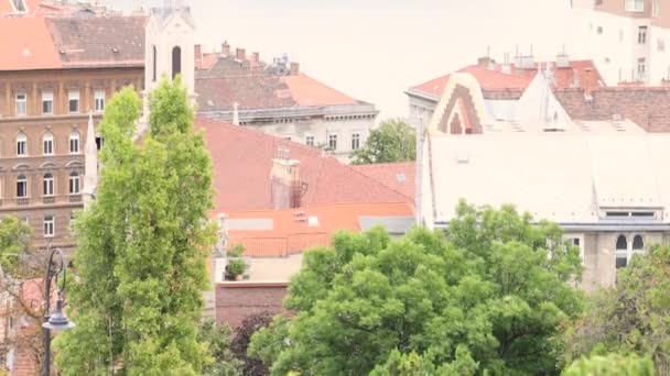 Saint Stephen Basilica Landmark Budapest City Summer Overcast Day Tilt — Stock Video