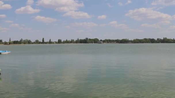 Clean Water Palic Lake Nature Park Hot Summer Day Panorama — ストック動画