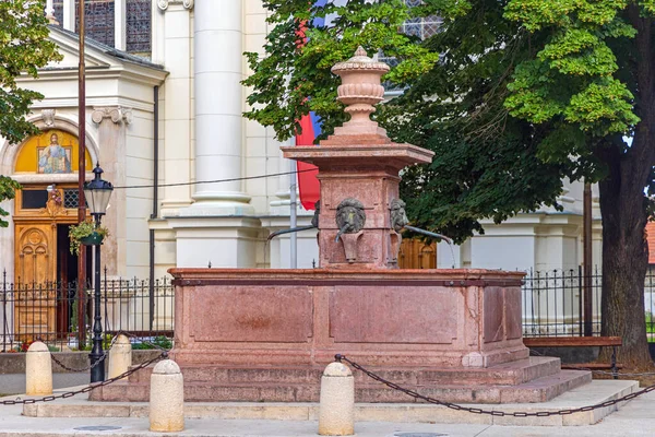 Four Lions Fountain Town Square Sremski Karlovci Serbia — Stock Fotó