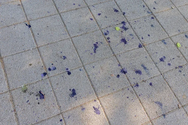 Many Purple Paint Stains Pavement Tiles — Stockfoto