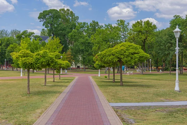 Nature Green Park Palic Lake Hot Summer Day Panorama — 스톡 사진