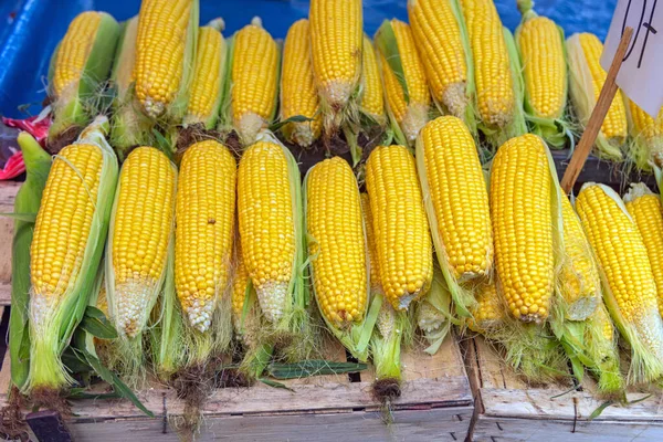 Yellow Corn Maize on Cob at Farmers Market