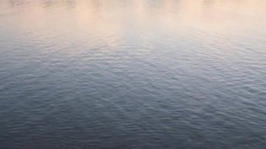 Belgrad 'da Sava Nehri' nin Sakin Suyu Yaz Akşamı Sırbistan 'ı Eğiliyor