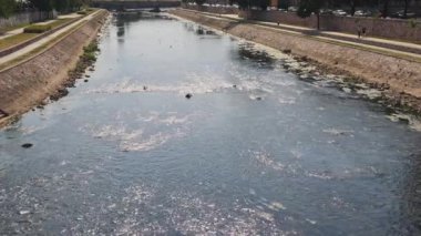 Nisava Nehri Sıcak Yaz Gününde Şehirde Yavaş Akıyor