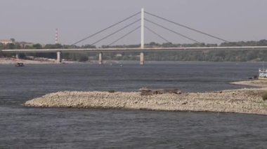 Novi Sad Sıcak Yaz Günü yakınlarındaki Tuna Nehri Alçak Gelgit Nehri