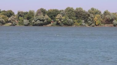 Geniş Tuna Nehri 'ndeki Ormanda Saklı Küçük Kulübe Sırbistan Doğa