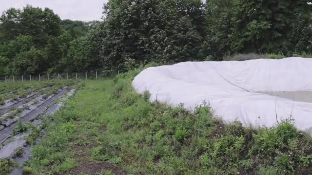 Polyethylen Gefüttert Open Tank Wasserversorgung Speicherbecken Farm Bewässerung — Stockvideo