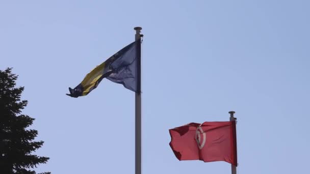 Turquie Bosnie Herzégovine Drapeaux Nationaux Ensemble — Video