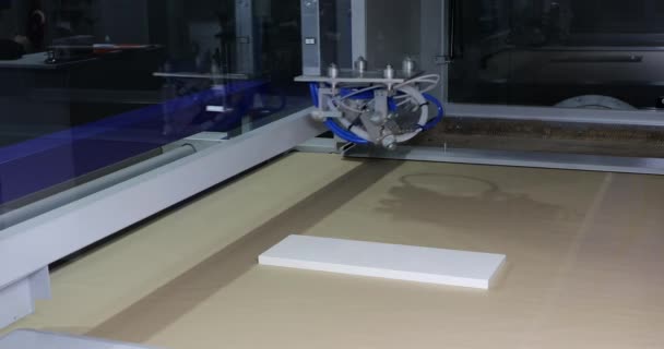 Ahşap Fabrikasında Otomatik Ahşap Boyama Makinesi — Stok video