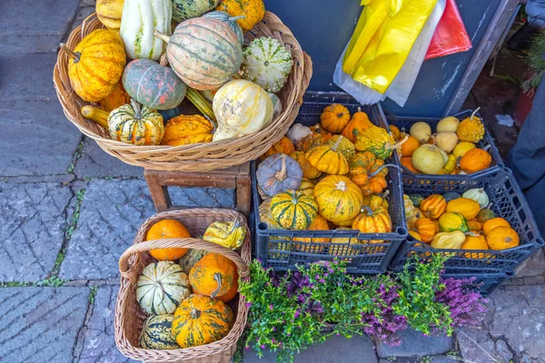 Pumpkins Gourds Baskets Farmers Market Ősz — Stock Fotó