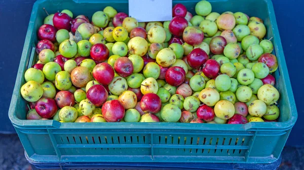 Άγρια Βιολογικά Μήλα Στην Κάσα Στην Αγορά Των Αγροτών — Φωτογραφία Αρχείου