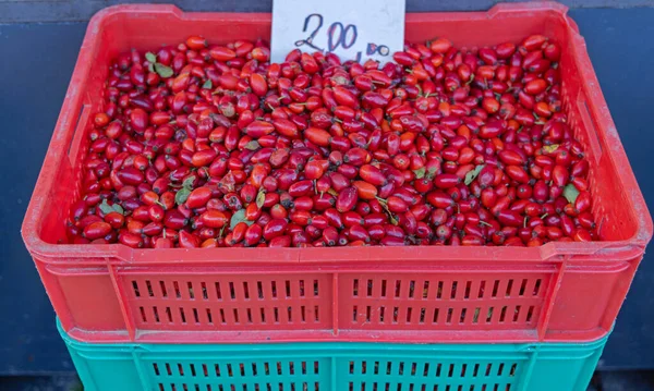 Essbare Natürliche Organische Rote Hagebutten Kiste — Stockfoto