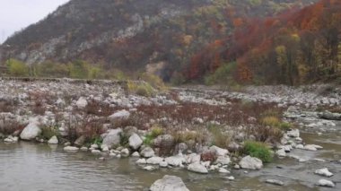Batı Morava Nehri Sonbahar Günü Sırbistan Doğa Panoraması