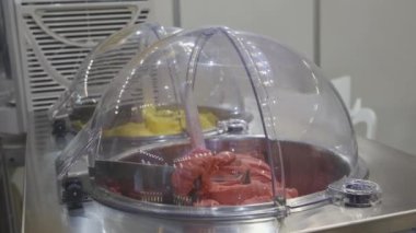 İtalyan Biçimli Dondurma Üreticisi Çoklu Makine Dönüşümü