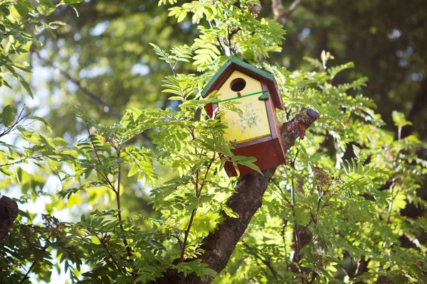 Casella di nidificazione — Foto Stock