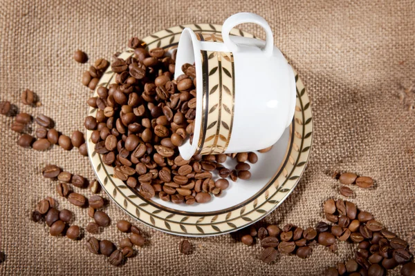 En kopp med kaffebönor — Stockfoto