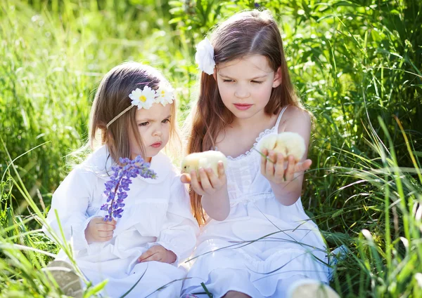 Girls with chickens — Stock Photo, Image
