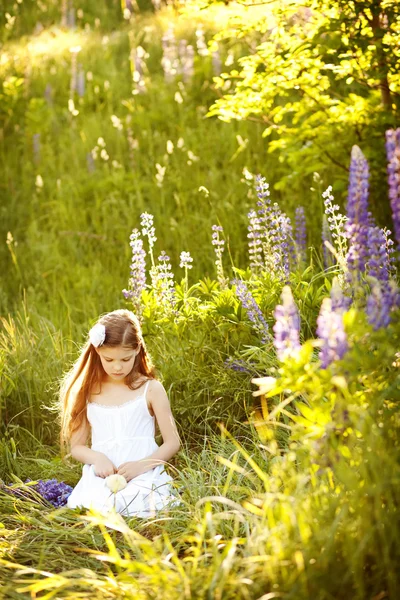 Cute girl in the meadow — Stock Photo, Image