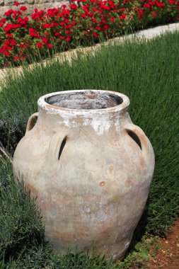 kavanoz ve kırmızı çiçekler