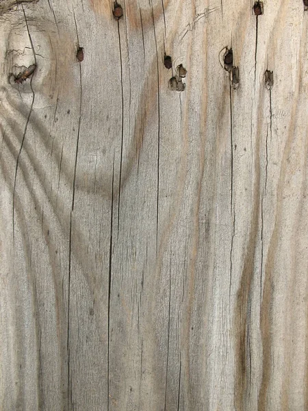 천연적 텍스처가 나무판자 — 스톡 사진