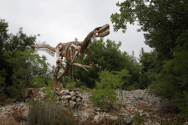 Ajaltoun Libanon Augusti 2022 Satue Rex Dinosaurie Skelett Dino City — Stockfoto