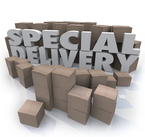 Special Delivery Boxes Packages Shipping Handling Warehouse — Stock Photo, Image