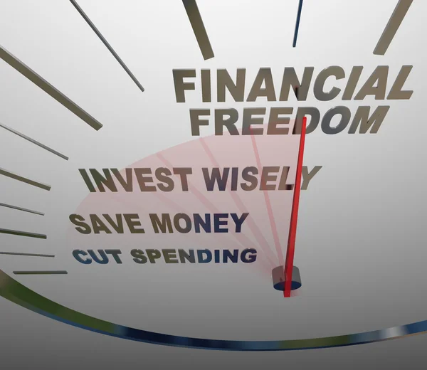 Financial Freedom Speedometer Invesment Savings Money — Stock Photo, Image
