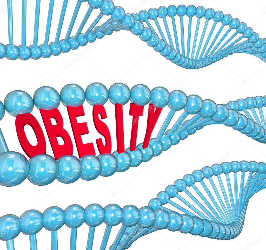 Obesity Word DNA Strand Medical Research Fat Hereditary