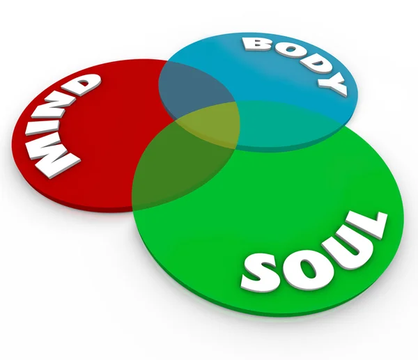 Geist Körper Seele Venn Diagramm Gesamt Wellness Balance — Stockfoto