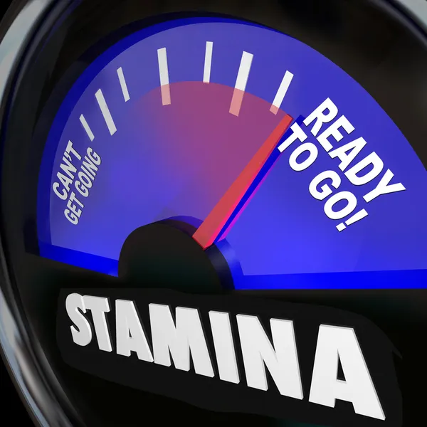 Stamina Fuel Gauge Drive Power Energy Increase — Stock Photo, Image