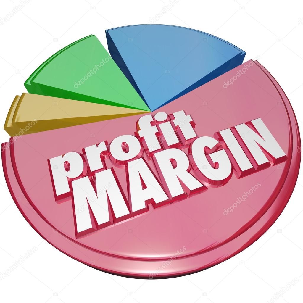 Profit Margin Pie Chart