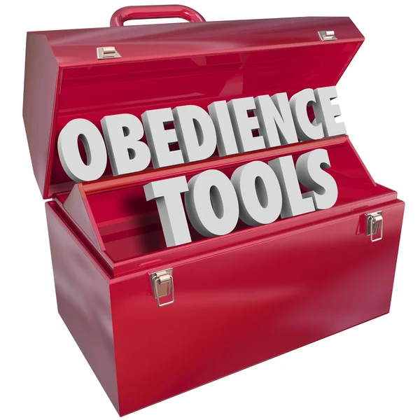 Herramientas de obediencia Caja de herramientas —  Fotos de Stock