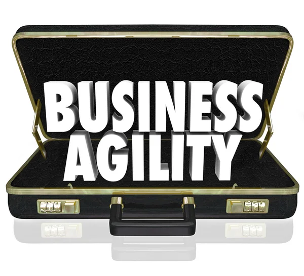 Business Agility Words Briefcase Fast Change Adaptation — Stock Photo, Image