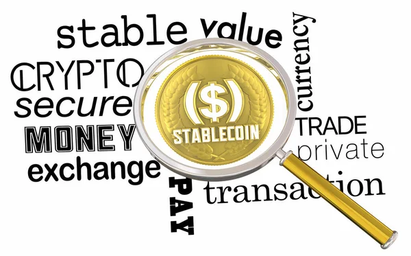 Stablecoin ตอลใหม แพลตฟอร มการช าระเง นความปลอดภ ยเง ตอลขยายกระจก ภาพประกอบ — ภาพถ่ายสต็อก